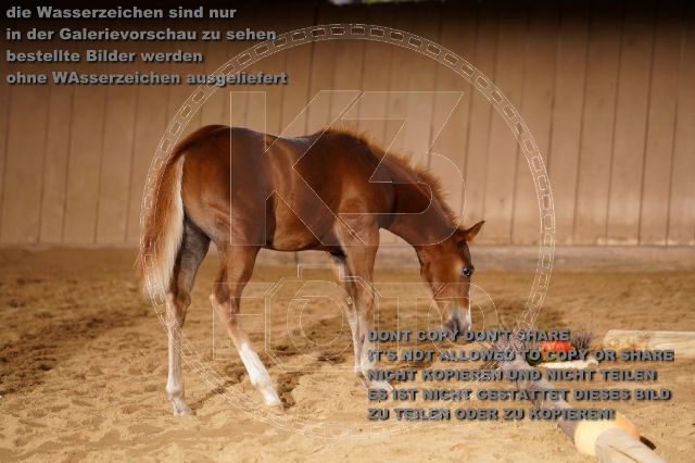 s_K3F05139.JPG